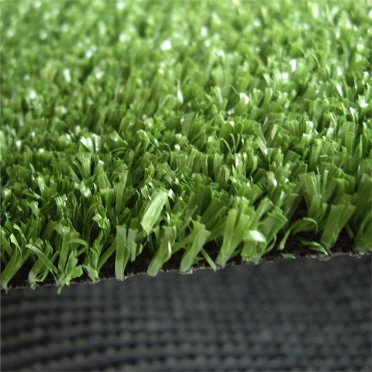 shortgrass